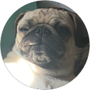 Rosen Von profile picture